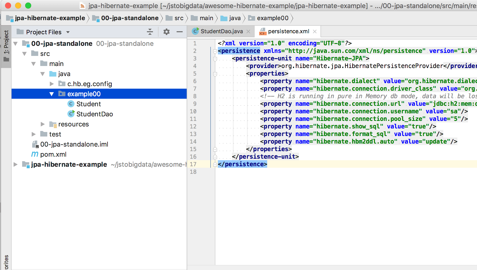 Hibernate on sale connection example